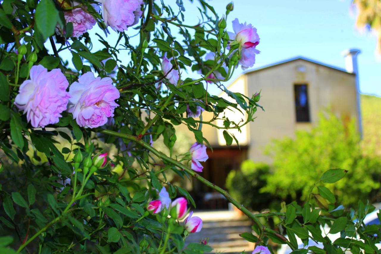 Agriturismo Tarantola Villa Alcamo Exterior foto